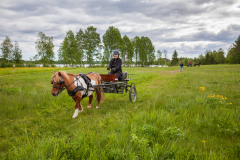 Sportkörning-MRF-1