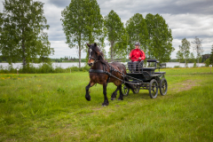 Sportkörning-MRF-4