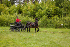 Sportkörning-MRF-6