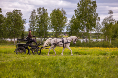 Sportkörning-MRF-7